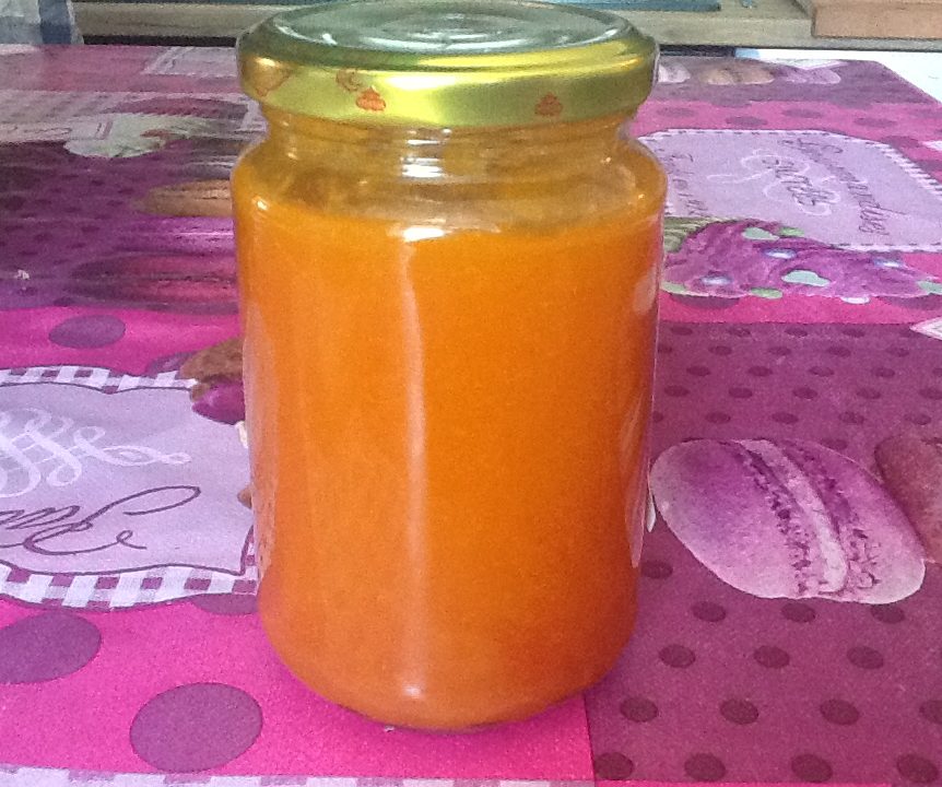 Confiture abricot vanillée au cookeo Cookeo Mania