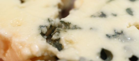 Recettes au Roquefort au cookeo