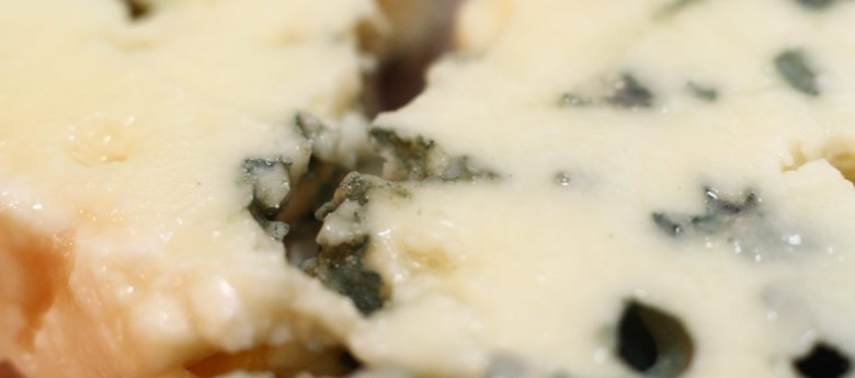 Recettes au Roquefort au cookeo
