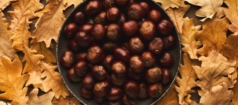 Châtaignes feuilles de figuier et anis étoilés au cookeo