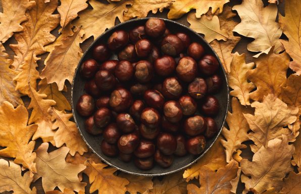 Châtaignes feuilles de figuier et anis étoilés au cookeo