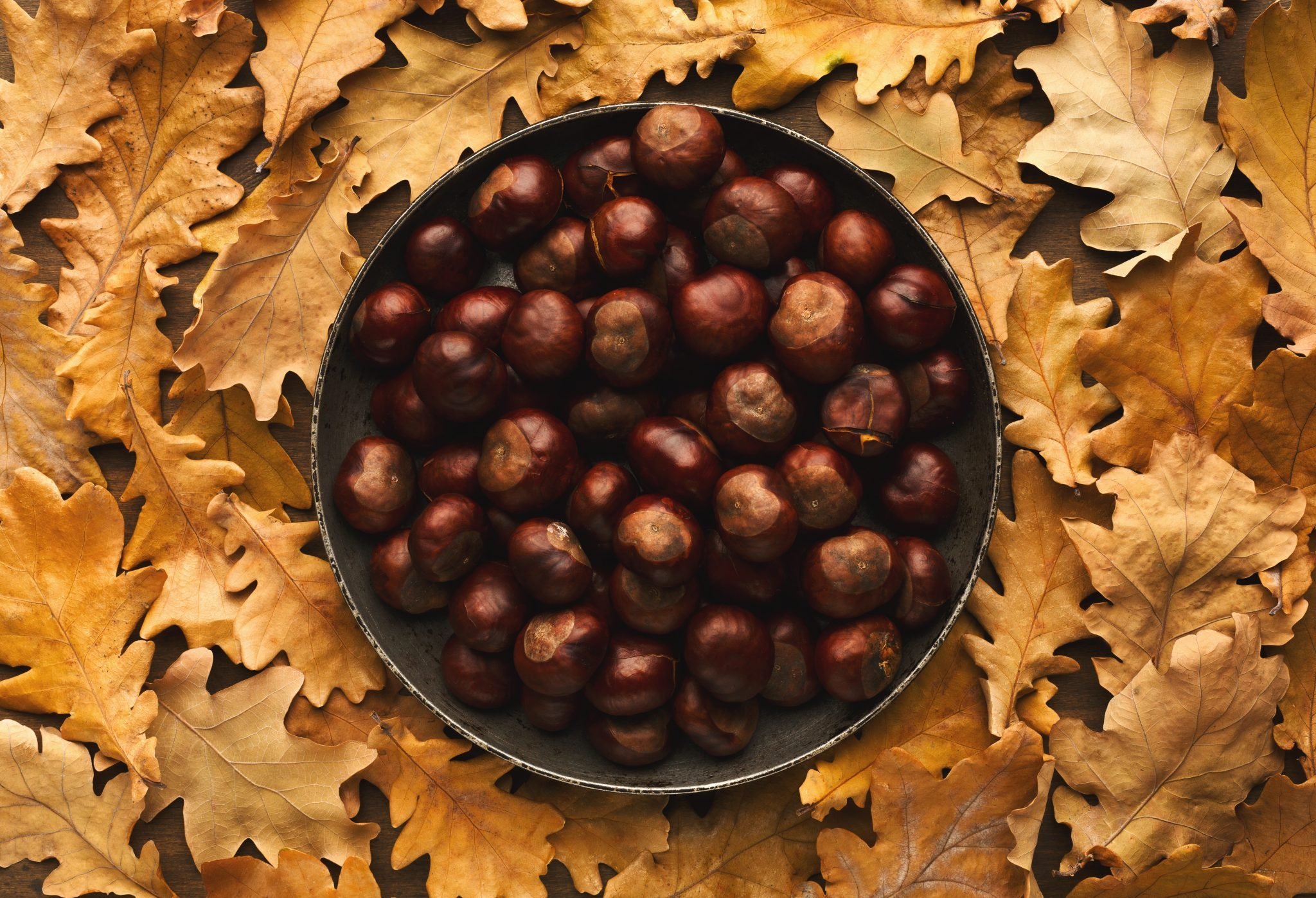 Châtaignes feuilles de figuier et anis étoilés au cookeo