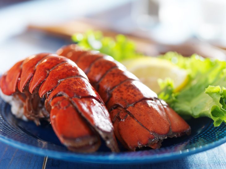 Comment bien cuire une langouste au Cookeo pour les fêtes de fin d'année
